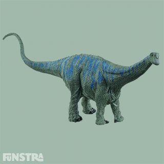 The Brontosaurus dinosaur is one of the most well-known herbivorous dinosaurs from the Late Jurassic period. The Brontosaurus has a long tail, an enormous body and a narrow neck. The dinosaur grew to around 15 tons and 22 m. While skeletons of the Brontosaurus have been found, scientists have never found a skull. It probably had a small head similar to the Apatosaurus. The name Brontosaurus means 'thunder lizard'. Scientists used to believe that the dinosaur snapped its tail like a whip.
