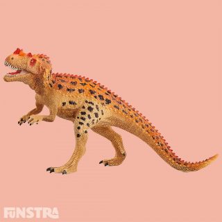 The Ceratosaurus dinosaur has three prominent bumps on its head. Blade-shaped teeth line its movable jaw. The Ceratosaurus was a carnivorous dinosaur that lived around 150 million years ago in the Late Jurassic period. Two bumps at the eyes and a large horn on the nose were made of bone. They were used either in combat or to deter rivals. On its back were also numerous spike-like bones. The many bumps and plates gave it its name: Ceratosaurus means 'horned lizard'.