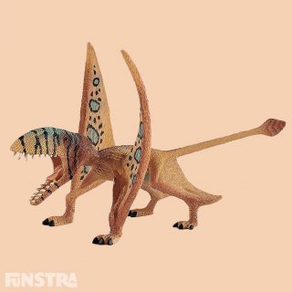 The Dimorphodon was a small flying dinosaur with a large skull and a long beak. It hunted fish, insects, lizards and other vertebrates, which it held with its claws and then ripped apart with its fangs. With its short wings it could probably only fly short distances, for example from tree to tree.