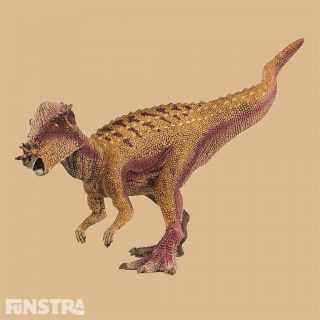 A special feature of the Pachycephalosaurus dinosaur is the dome-shaped skull with bony bumps. The Pachycephalosaurus is the largest beaked, herbivorous dinosaur ever discovered. It grew to around 4-5 m in length, 450 kg, moved on two legs and lived in the Late Cretaceous period in North America. Its strong domed skull was 20-25 cm thick. Scientists believe that it used the skull to ram or impress rivals. Pachycephalosaurus means 'thick-headed lizard'.
