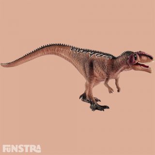 Giganotosaurus juveniles lived in packs and quickly grew up to be dangerous hunters. Giganotosauruses grew to be almost as large as the biggest carnivore in the history of the earth: the Spinosaurus.