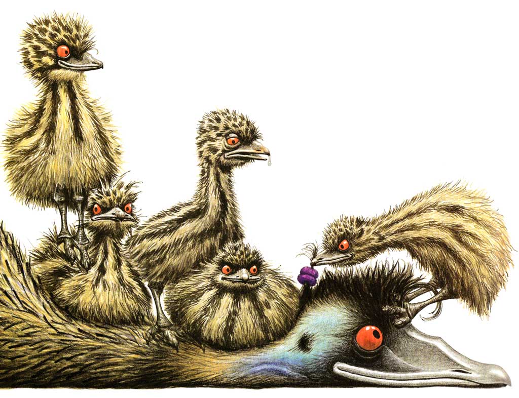 The Best Children’s Picture Books To Read with an Emu Plushie