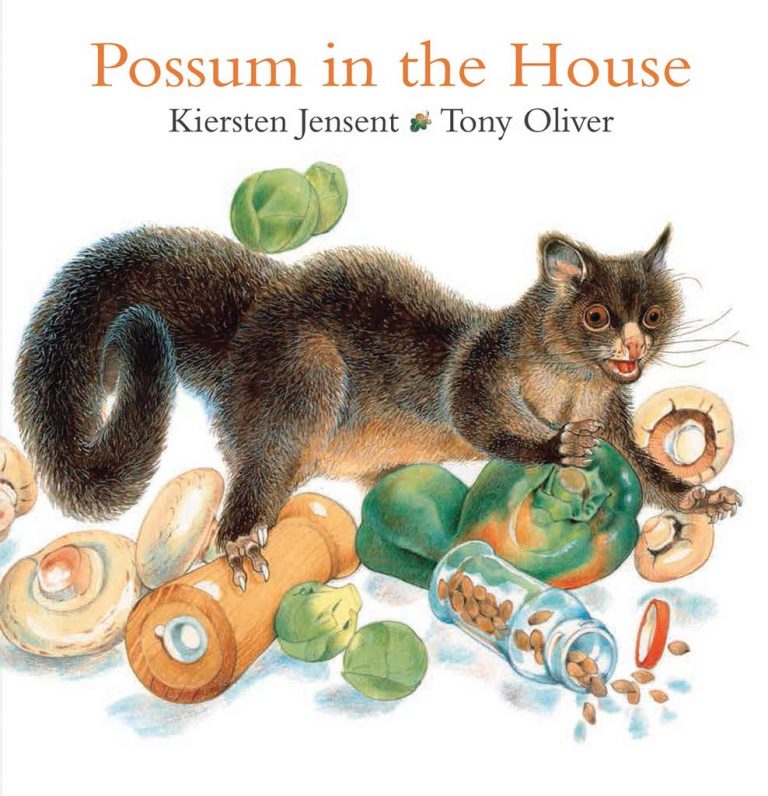 The Best Children’s Picture Books To Read with a Possum Plushie – Funstra