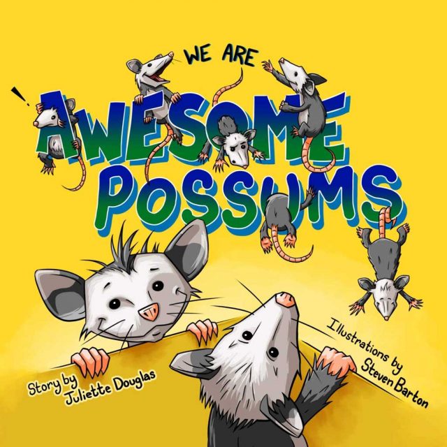 The Best Children’s Picture Books To Read with a Possum Plushie – Funstra