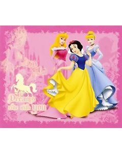 Disney Princess Dreams Blanket
