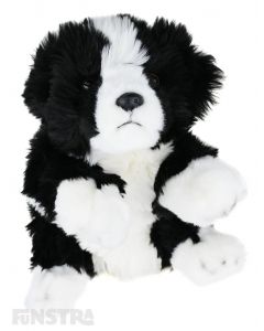 The border collie dog hand puppet offers lots of fun and entertainment for children that love the clever breed as they tell stories and puppeteer the remarkably bright work dog.