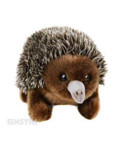Lil Friends Echidna is a cute, soft and cuddly stuffed animal for kids that love the Spiny Anteaters and animals of Australia. The Echidna plush toy is a fabulous little friend that can bring joy and happiness to children, made by Korimco.
