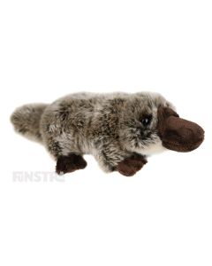 Lil Friends Platypus is a cute, soft and cuddly stuffed animal for kids that love the duck-billed platypus and animals of Australia. The Platypus plush toy is a fabulous little friend that can bring joy and happiness to children, made by Korimco.