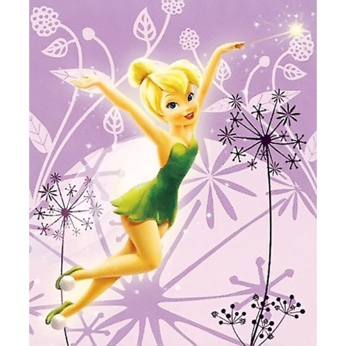 Disney Tinkerbell Spring Pixies Royal Plush Raschel Throw Blanket 60 inch x 80 inch 