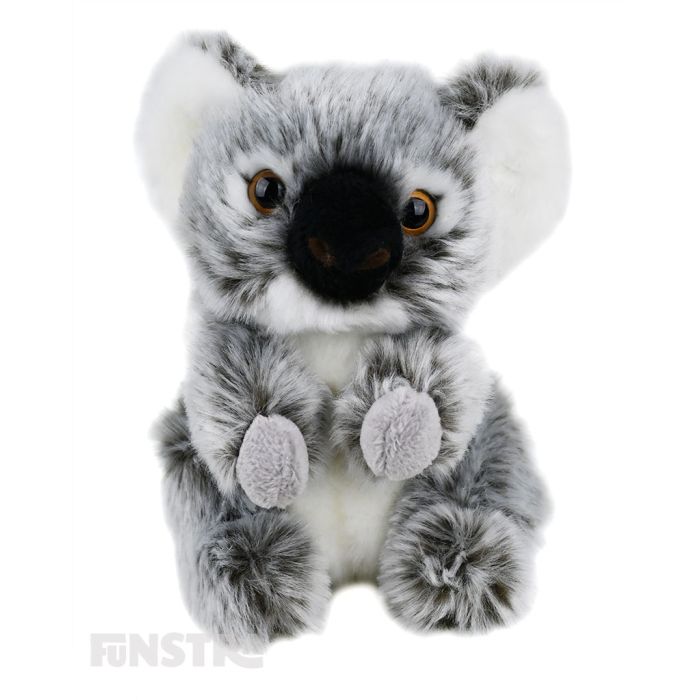 Lil Friends: Koala Plush Soft Toy Stuffed Animal - Funstra