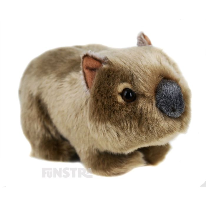 Lil Friends Wombat is a cute, soft and cuddly stuffed animal for kids that love the hairy-nosed wombats and animals of Australia. The Wombat plush toy is a fabulous little friend that can bring joy and happiness to children, made by Korimco.