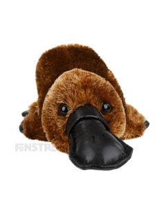 The Platypus silky plush toy is soft and cuddly, the perfect furry friend for children that love platypuses and other animals of Australia.