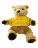 There's a bear in there! ...it's Little Ted from Play School.
