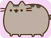 Pusheen the Cat